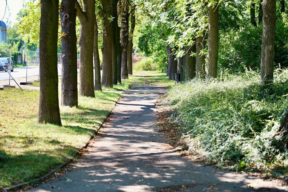 Łódź. Lamus wraca na powierzchnię Łodzi! Niedługo start pierwszych prac