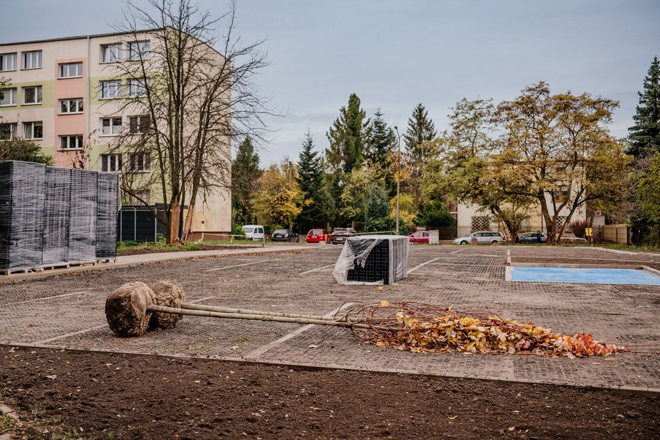 Kolejny zielony parking powstaje w Łodzi