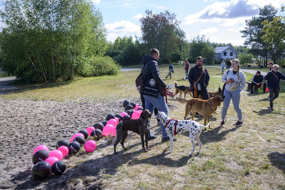 Psiejski piknik rodzinny na Uroczysku Lublinek w Łodzi. Co to była za zabawa!