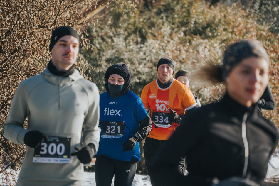 Botaniczna Piątka w Ogrodzie Botanicznym w Łodzi. Galeria z mroźnego biegu