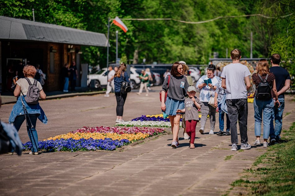 Łódź. Ogród Botaniczny w Łodzi w wiosennej odsłonie
