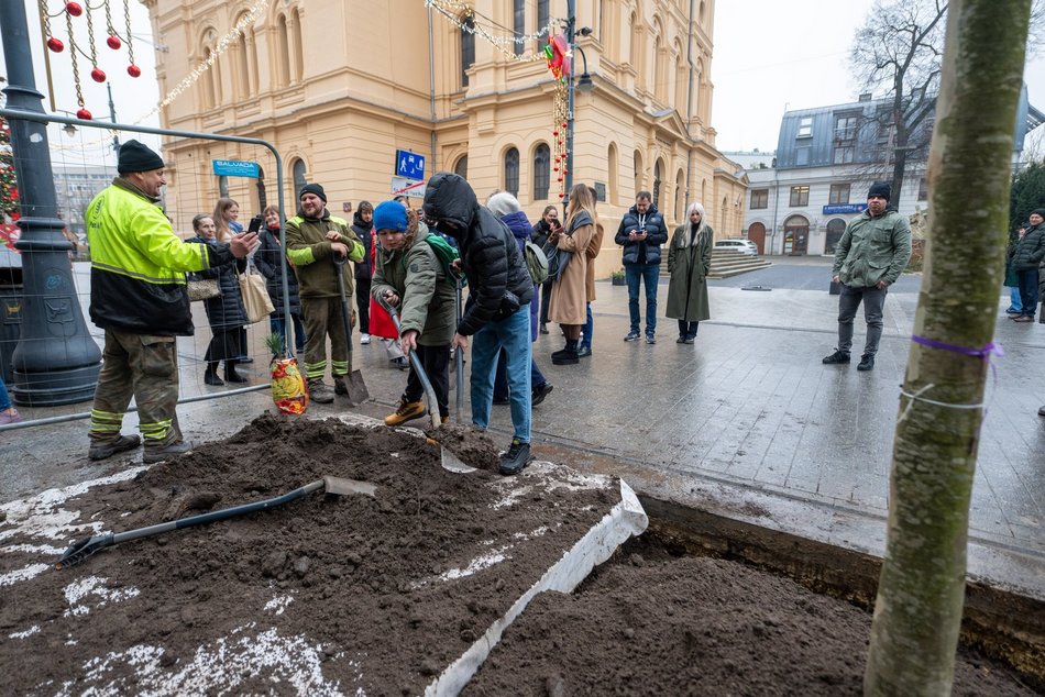Łódź. Drzewa na Piotrkowskiej w Łodzi posadzone! Łodzianie uczestniczyli w imprezie