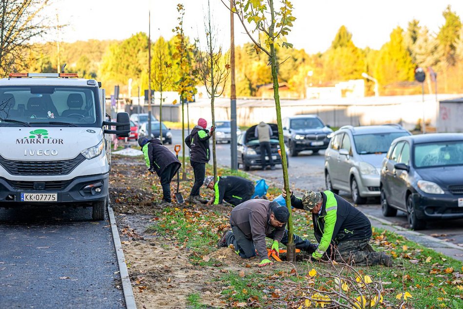 Łódź. Niemal 100 nowych drzew na Retkini w Łodzi. Już cieszą oczy mieszkańców