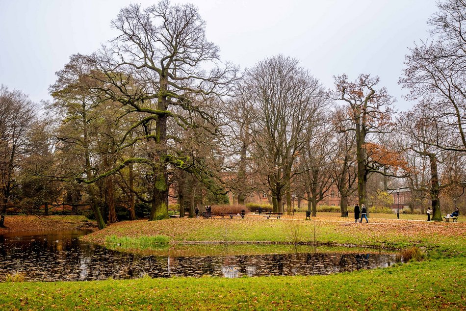 Łódź. Gdzie udać się na zimowy spacer w Łodzi? Las Łagiewnicki, Arturówek i więcej 