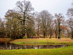 Łódź. Gdzie udać się na zimowy spacer w Łodzi? Las Łagiewnicki, Arturówek i więcej 