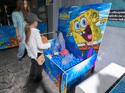 Spongebob w Orientarium Zoo Łódź