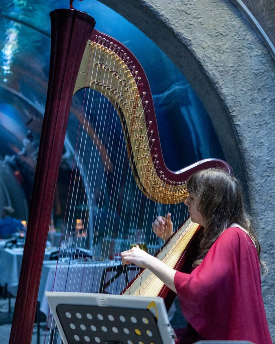 Łódź. Walentynki w Orientarium Zoo Łódź. Przysmaki, koncert na harfie i... zaręczyny