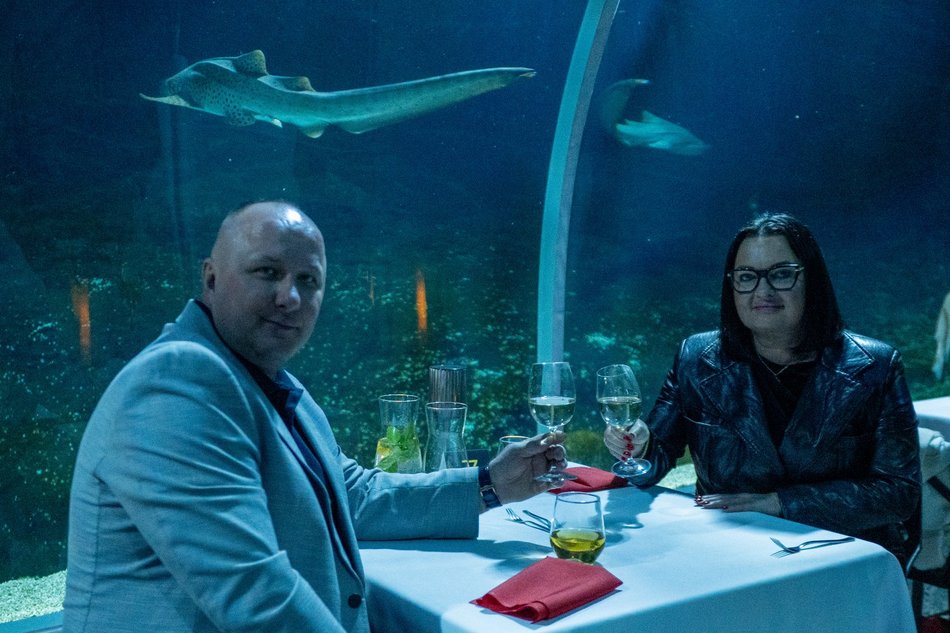 Łódź. Walentynki w Orientarium Zoo Łódź. Przysmaki, koncert na harfie i... zaręczyny