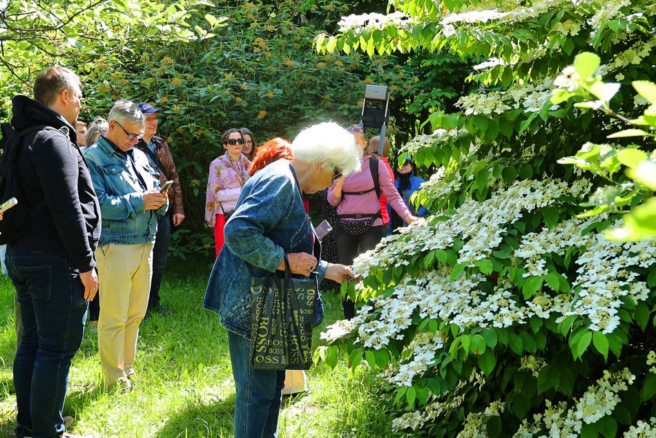 Ogród Botaniczny w Łodzi. Kwitnące rośliny