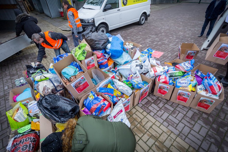 Uniwersytet Łódzki wspiera schronisko w Łodzi