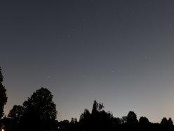 Łódź. Co to był za wieczór! Noc spadających gwiazd w Ogrodzie Botanicznym w Łodzi