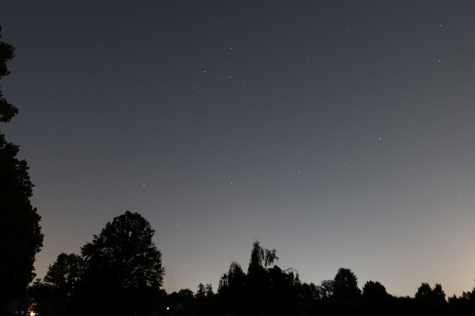 Łódź. Co to był za wieczór! Noc spadających gwiazd w Ogrodzie Botanicznym w Łodzi
