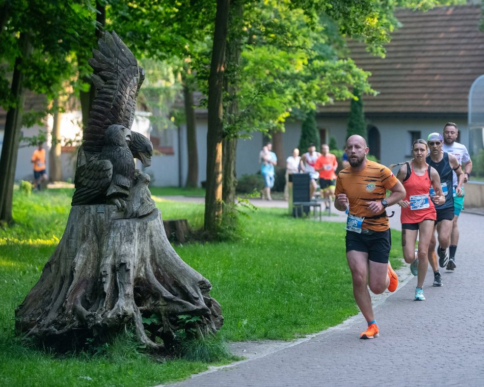 Bieg Rekina w Orientarium Zoo Łódź