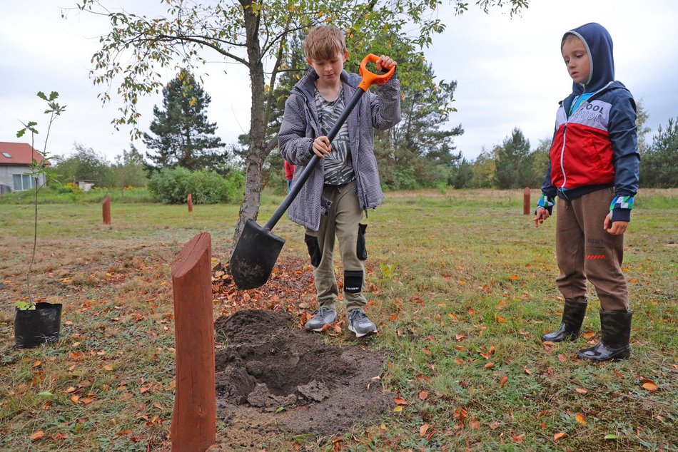 Rozrasta się Las Młodej Łodzi. Sadzenie drzew