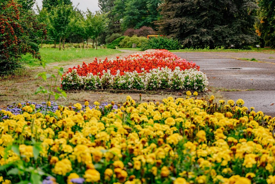 Łódź. Jesień w Ogrodzie Botanicznym w Łodzi. Tam z pewnością pokochasz tę porę roku!