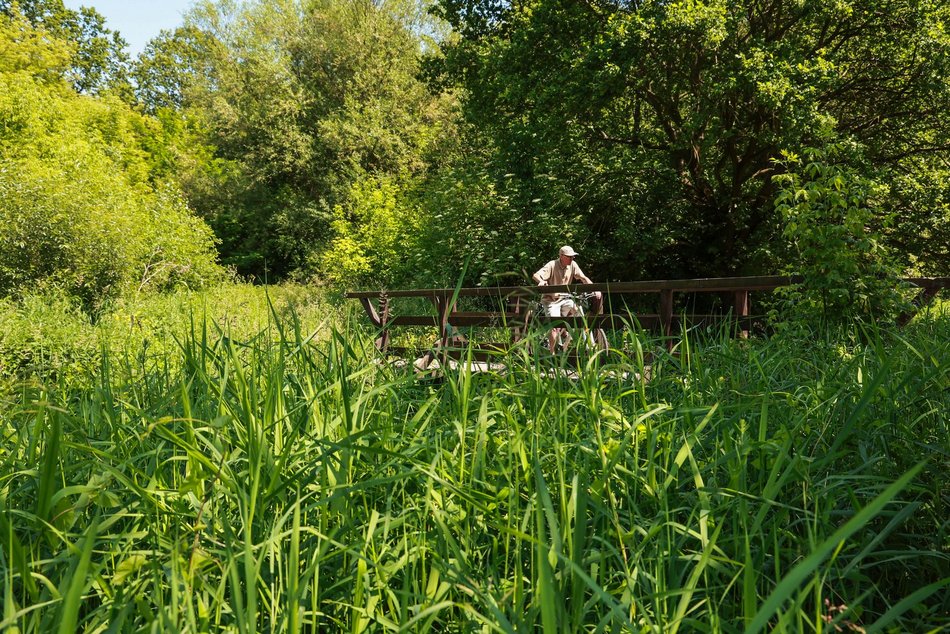 Nowa nazwa parku nad rzeką Ner na Rudzie Pabianickiej. Który pomysł wygrał?