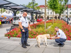 Łódź. „Piknik bez barier” na Starym Rynku w Łodzi. Dobra zabawa, darmowe porady i integracja!