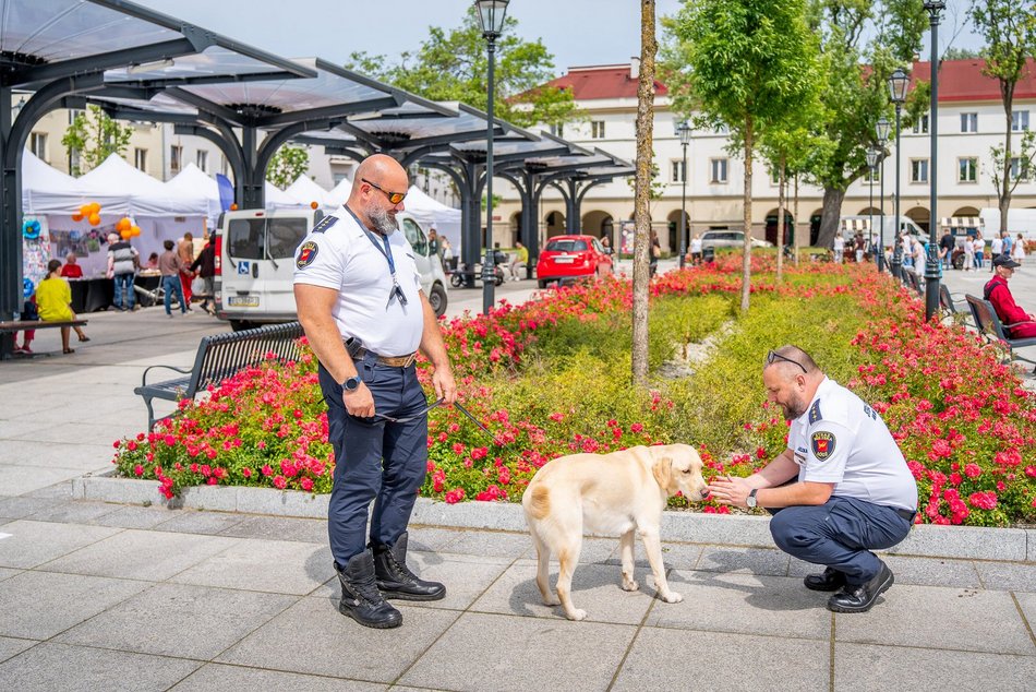 Łódź. „Piknik bez barier” na Starym Rynku w Łodzi. Dobra zabawa, darmowe porady i integracja!
