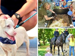 Łódź. Światowy Dzień Zwierząt na Starym Rynku w Łodzi. Psy, konie, a nawet... jerze!