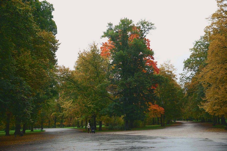 Łódź. Jesienne kadry z parków