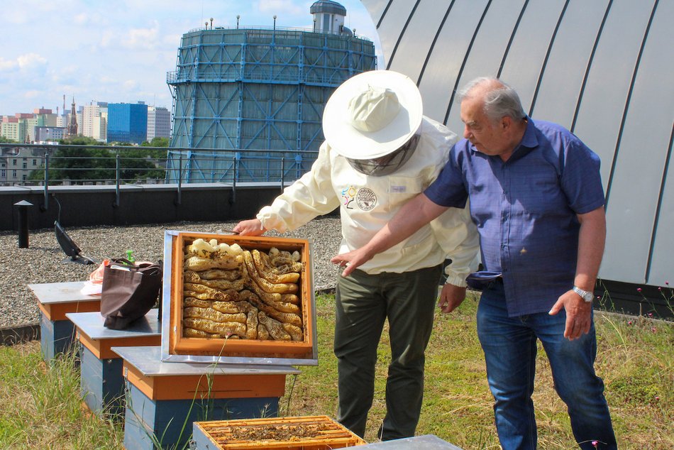 Łódź. Bez nich nie ma życia. Łódź dba o pszczoły nie tylko w Światowy Dzień Pszczół