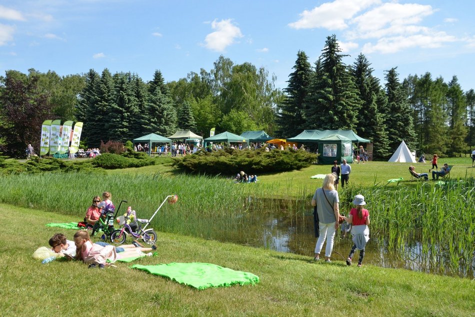 Co robić w weekend w Łodzi? Urodziny Manufaktury, garden party w Fuzji, filmy Wajdy