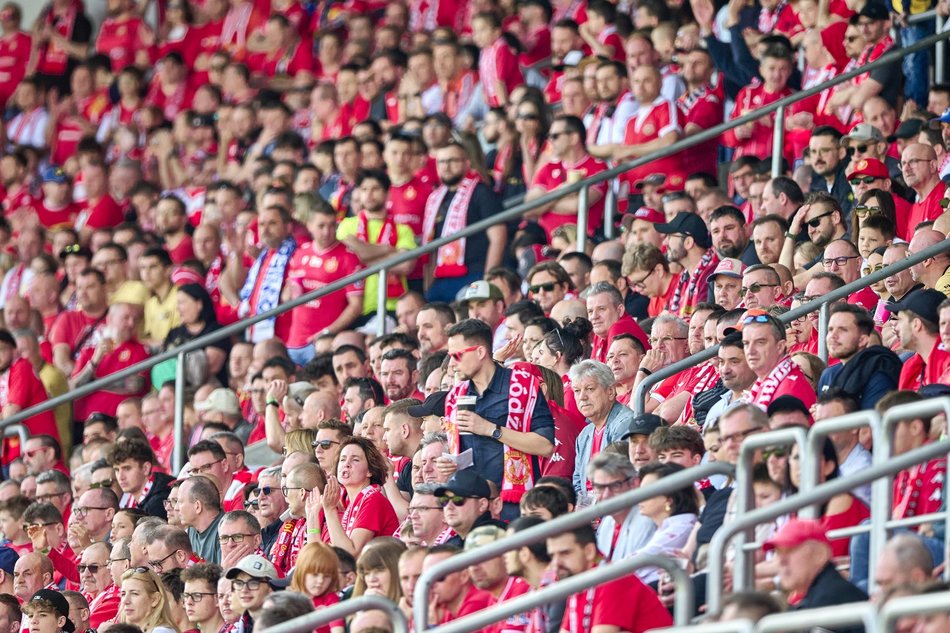 Kibice na meczu Widzewa Łódź