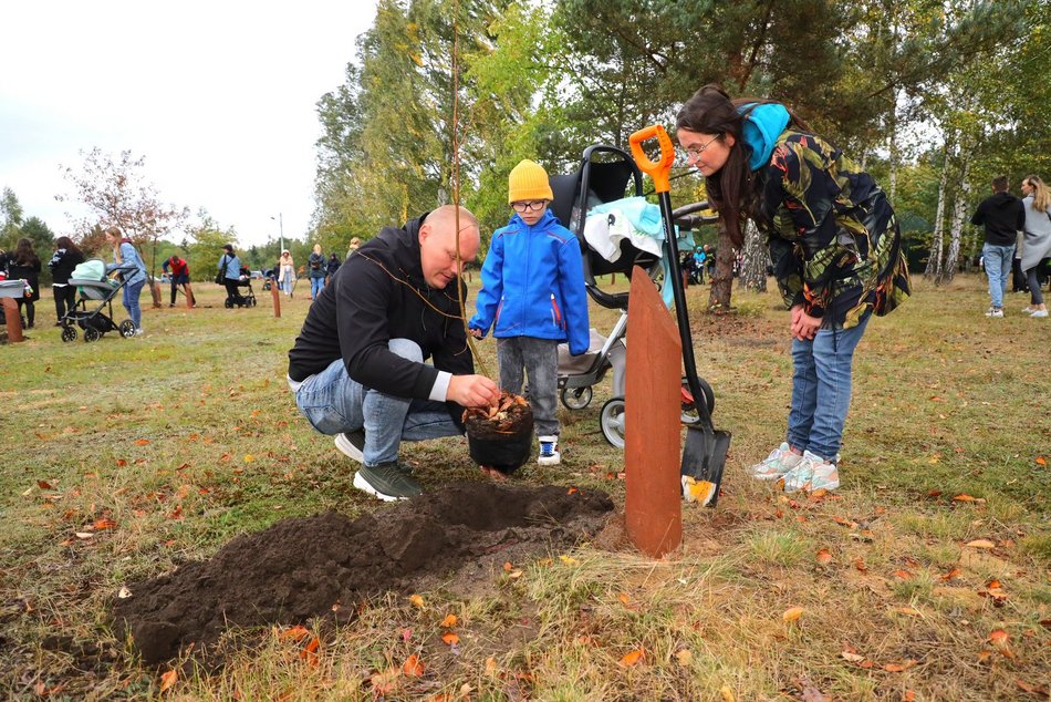 Przybędzie drzew w Lesie Młodej Łodzi. Zgłoś się i posadź drzewo na pamiątkę narodzin swojego dziecka