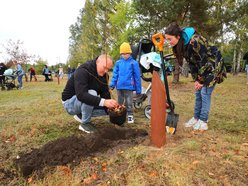 Przybędzie drzew w Lesie Młodej Łodzi. Zgłoś się i posadź drzewo na pamiątkę narodzin swojego dziecka