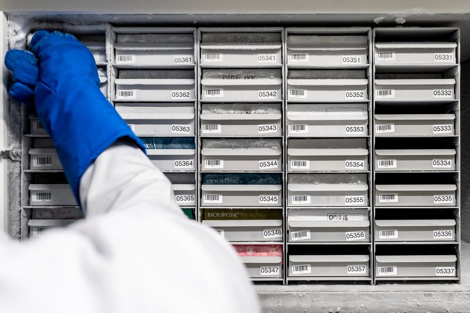 Łódź. Medycyna przyszłości powstaje w Łodzi. Czym jest Biobank Uniwersytetu Łódzkiego?