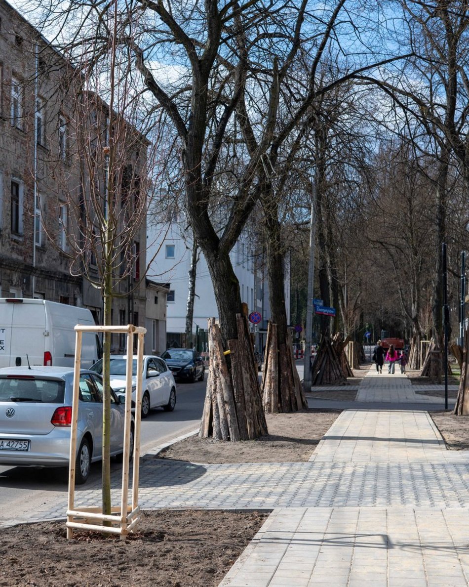 Łódź. Łódź zazieleni się na wiosnę! Zasadzono więcej drzew przy Różyckiego