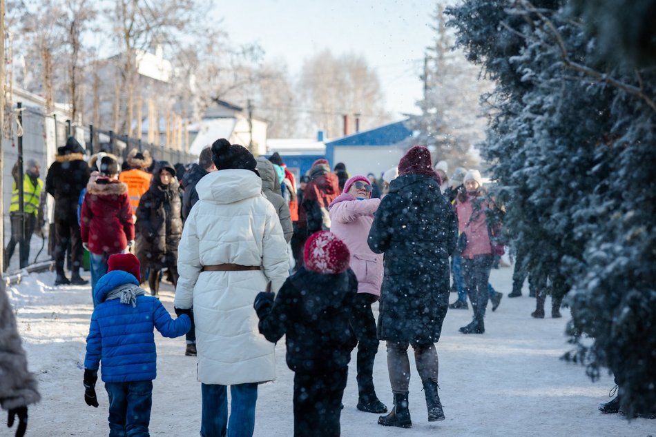 Łódź. Psy ze schroniska w Łodzi na spacerze