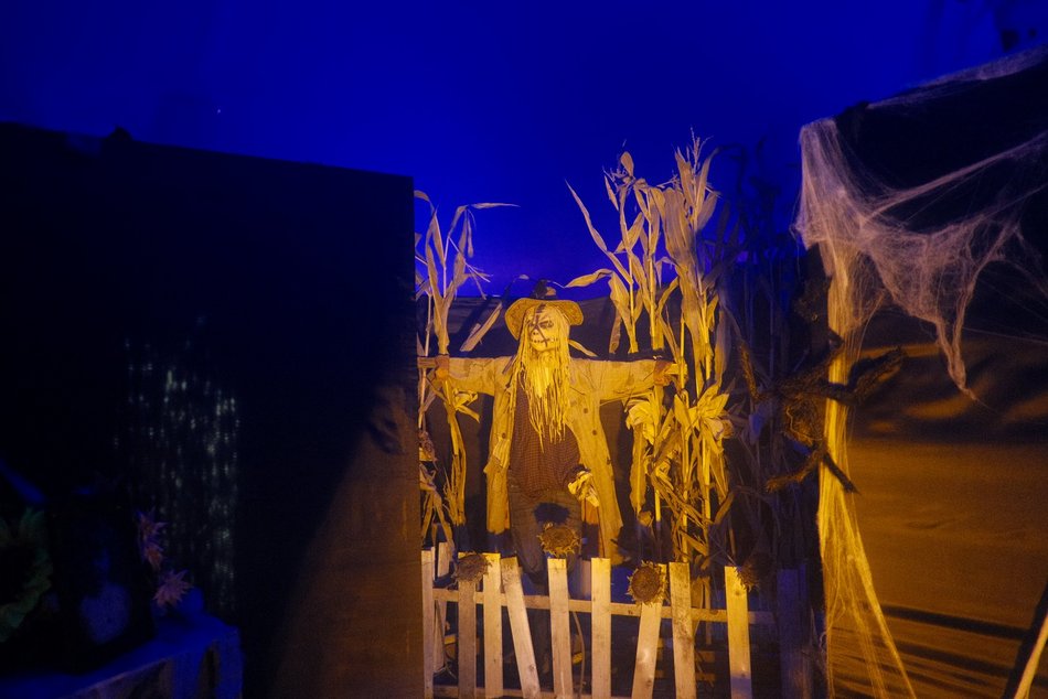 Łódź. Straszny Cyrk w Manufakturze w Łodzi. Wchodzisz tam na własną odpowiedzialność!