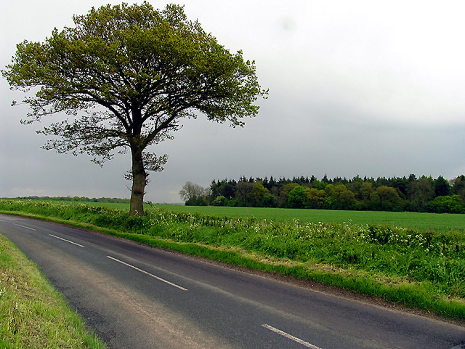 Łódź. Tam, gdzie szos idzie i przecina tory… Wiesz, co to znaczy? 