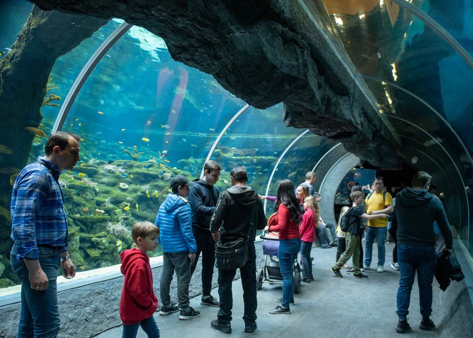 Wieczór VIP w Orientarium Zoo Łódź. Regeneracja i błogi relaks