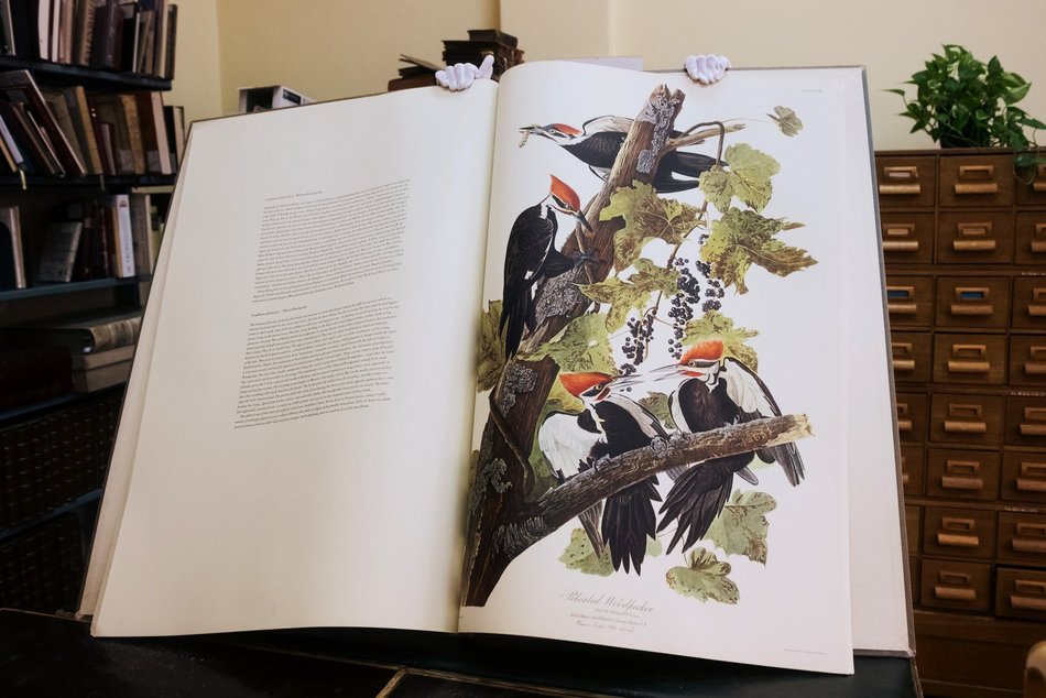 Od liliputka do giganta. Wyjątkowe książki z Biblioteki Uniwersytetu Łódzkiego