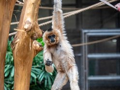 Jak zachowywać się w Orientarium Zoo Łódź