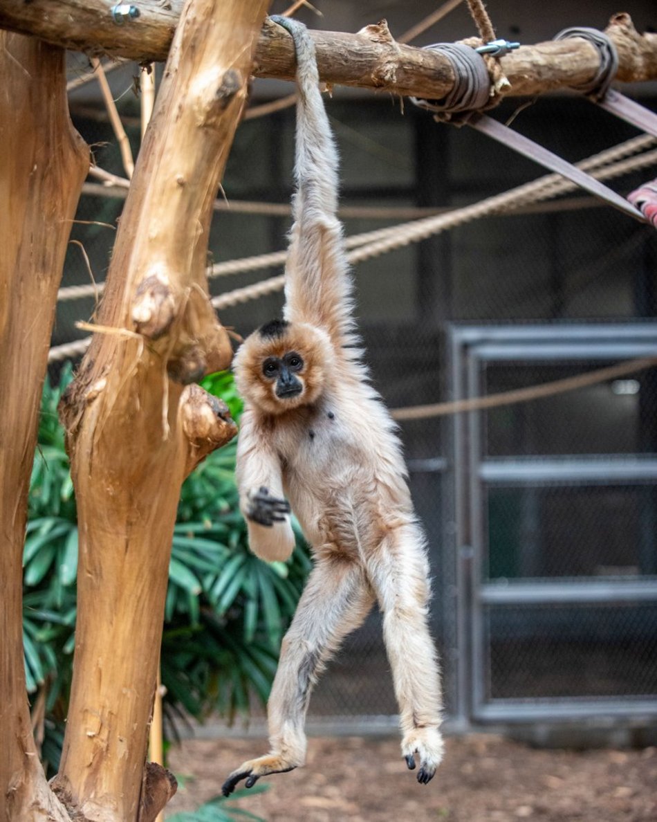 Jak zachowywać się w Orientarium Zoo Łódź