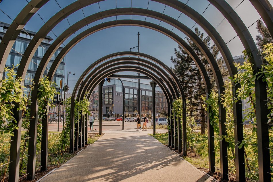 Park Staromiejski w Łodzi - wiosna, zieleń