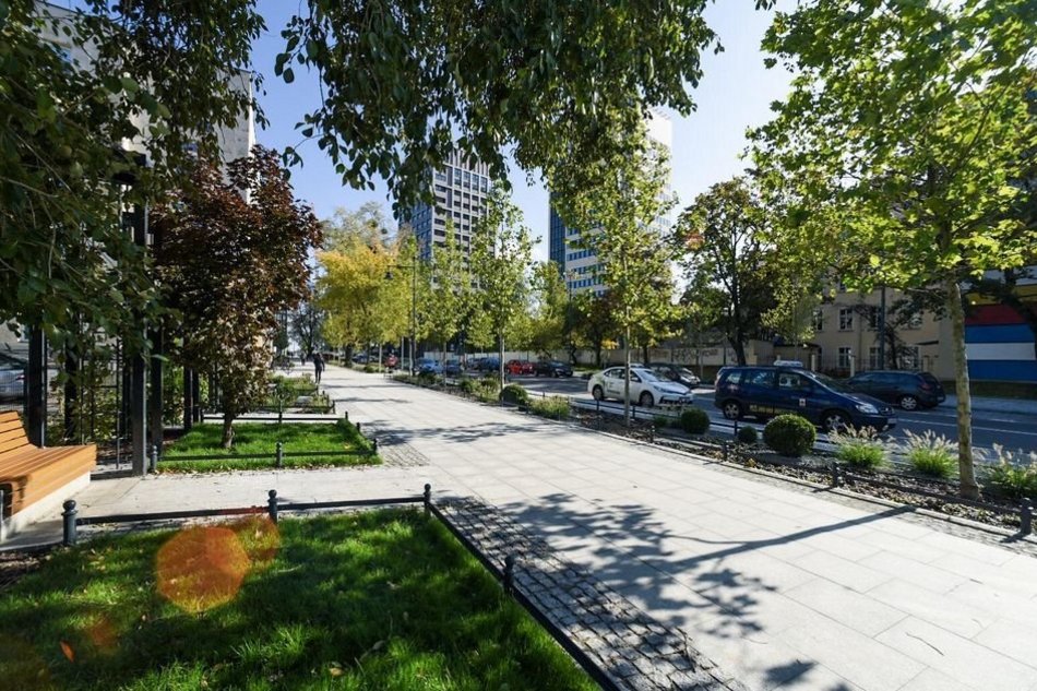 Na ulicach Łodzi jest zielono