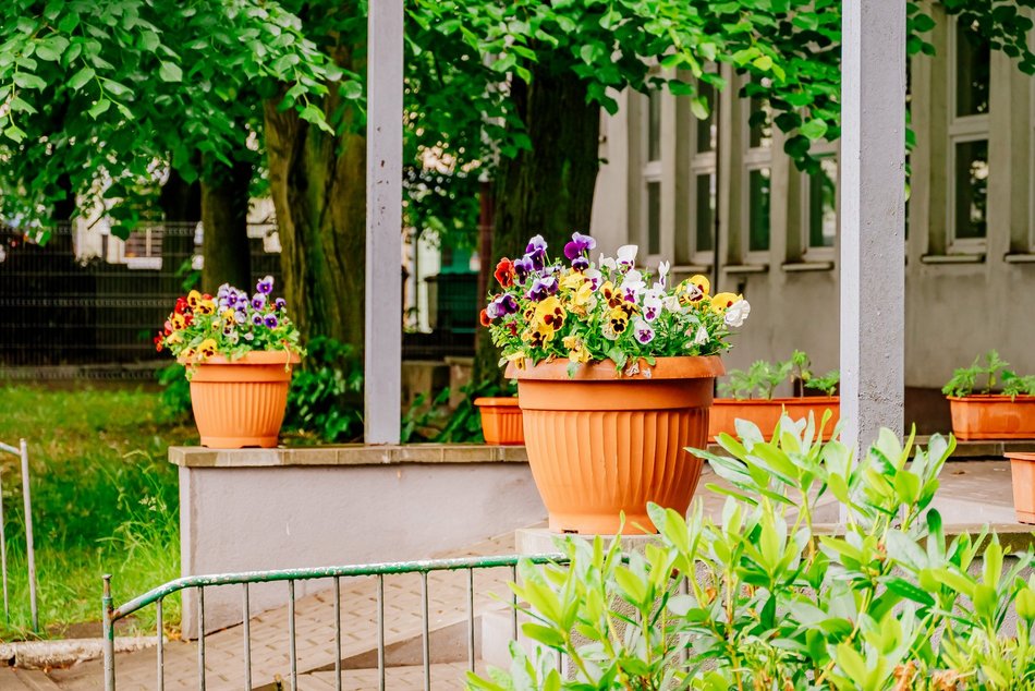 Remont żłobka na Bałutach w Łodzi wystartował. Przy Rydzowej będzie 55 nowych miejsc!