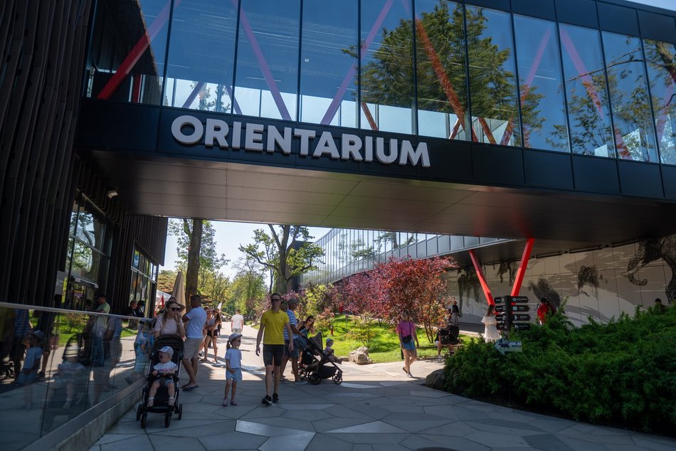 Łódź. Zielona Feta w Orientarium Zoo Łódź. Moc atrakcji na długi weekend