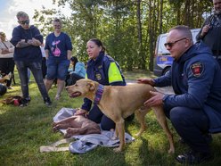 Psiejski piknik rodzinny na Uroczysku Lublinek w Łodzi. Co to była za zabawa!