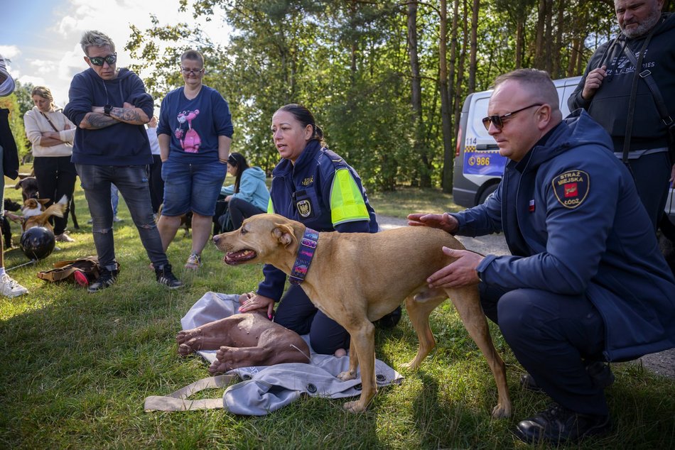 Psiejski piknik rodzinny na Uroczysku Lublinek w Łodzi. Co to była za zabawa!