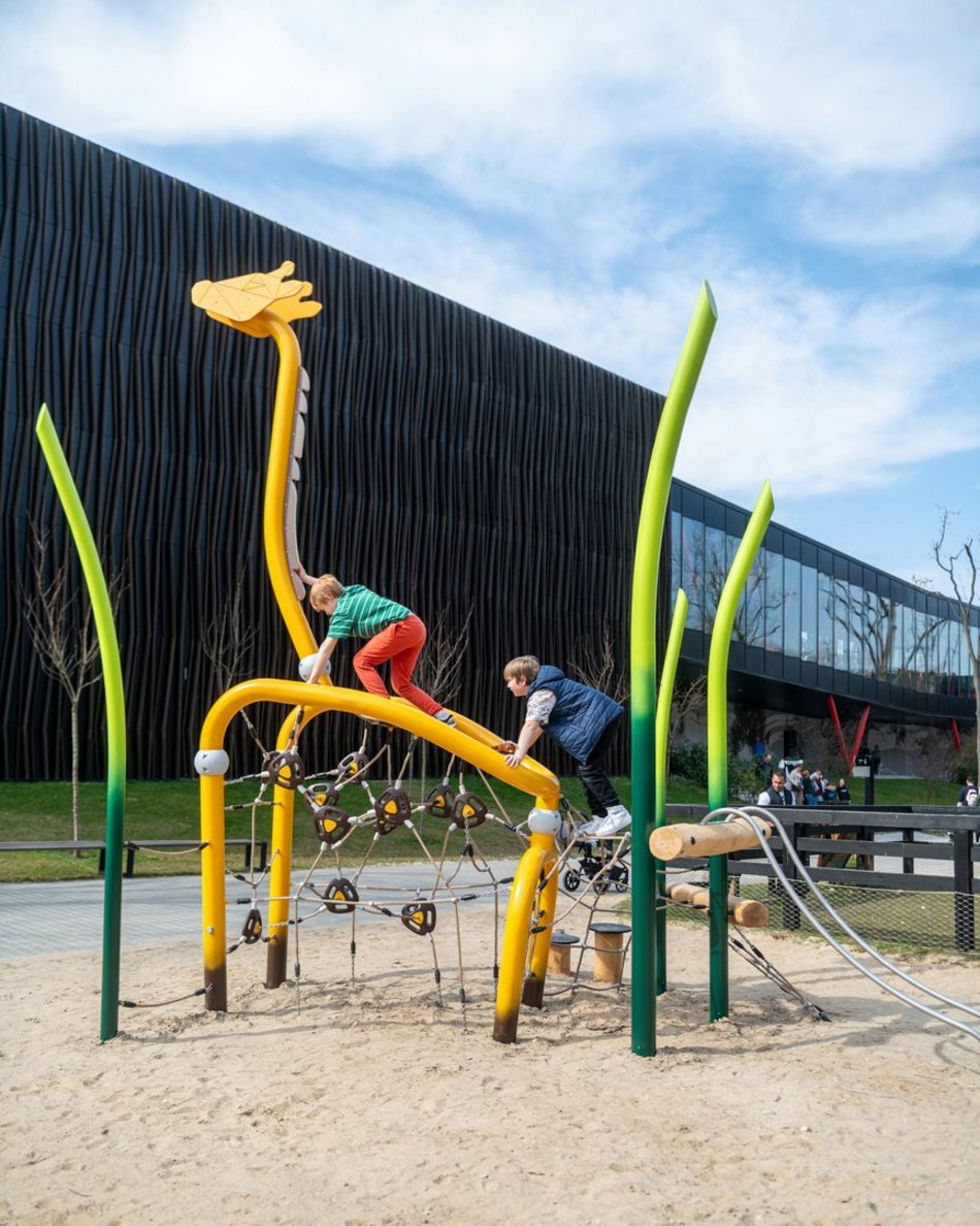 Łódź. Nowa żyrafa w Orientarium Zoo Łódź. Musisz ją poznać!