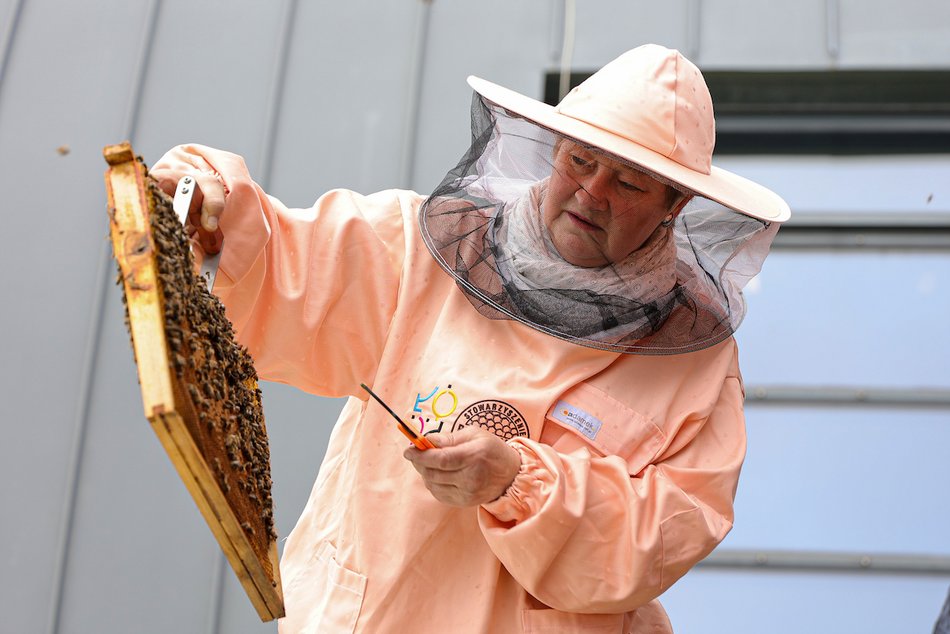 Łódź. Bez nich nie ma życia. Łódź dba o pszczoły nie tylko w Światowy Dzień Pszczół