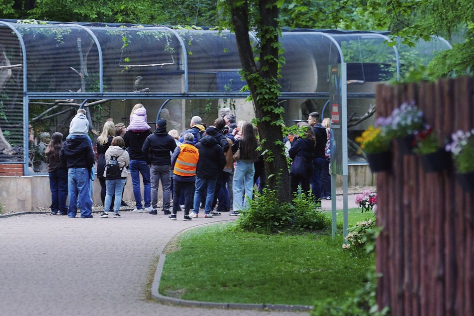 Noc Muzeów Łódź 2026 w Orientarium Zoo Łódź