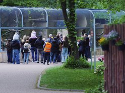 Noc Muzeów Łódź 2026 w Orientarium Zoo Łódź