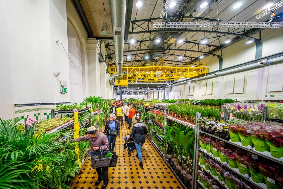 Festiwal Roślin w EC1 Łódź