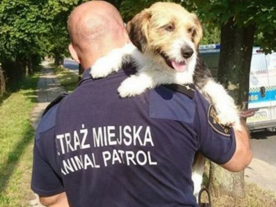 Łódź. Animal Patrol